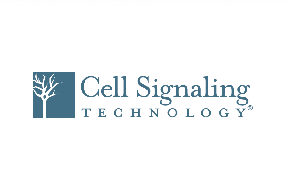 Cell Signaling Technology