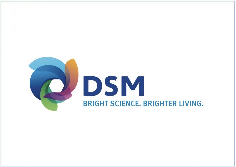 DSM N.V.